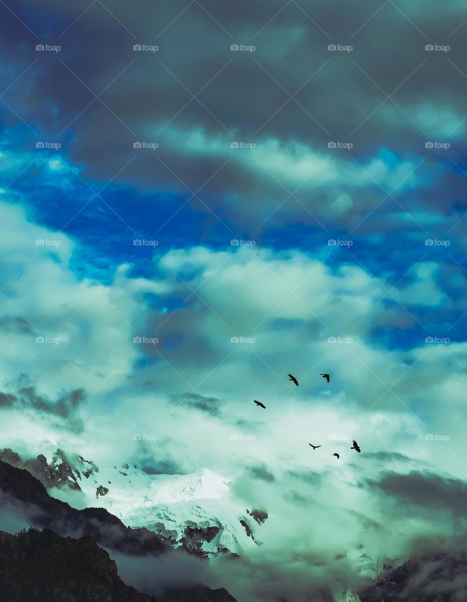 a summer mountain with flying birds