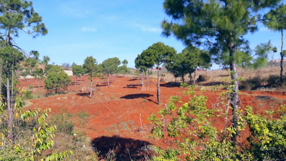 Simplicity is Beauty.