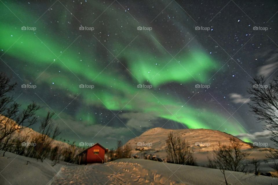 Northern lights show