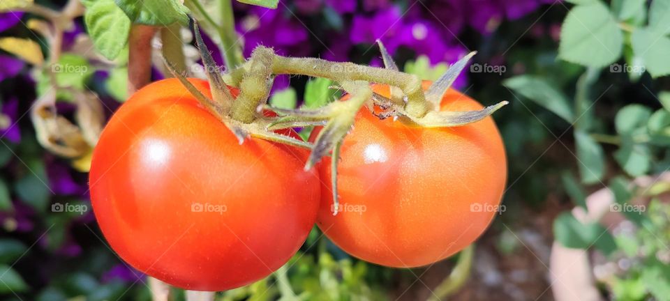 El que siembra,recoge..