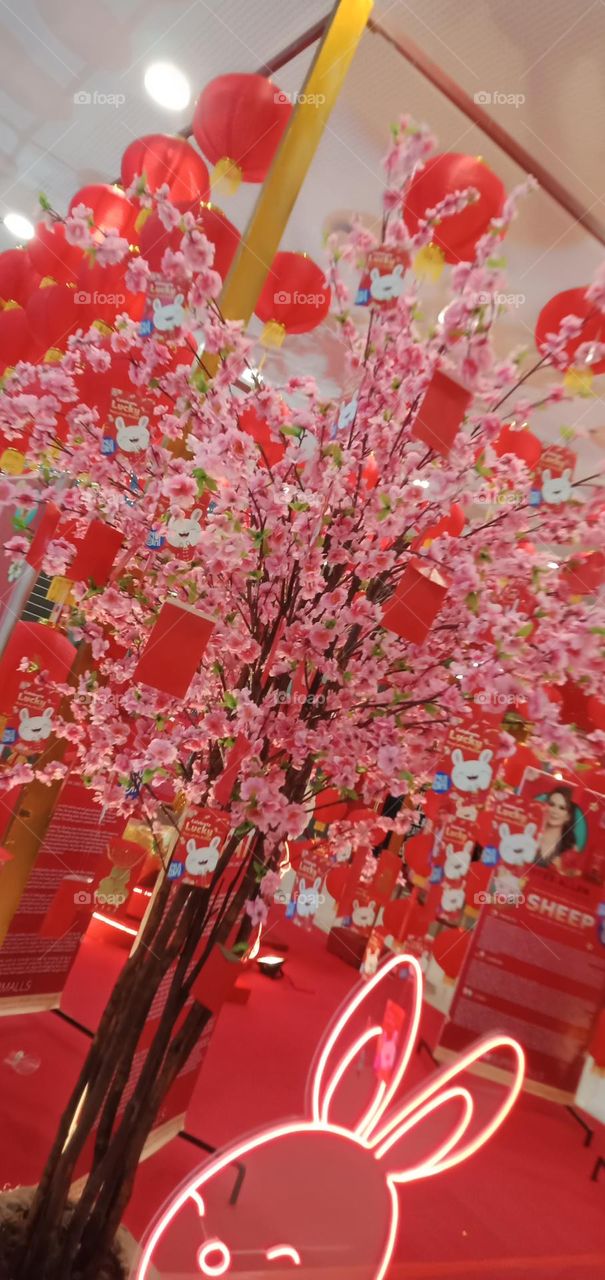 Rabbit in many areas of the world, a part of daily life—as food, clothing, a companion, and a source of artistic inspiration. And this year Chinese Horoscope is Year of the Rabbit -  represents peaceful and patient energy.