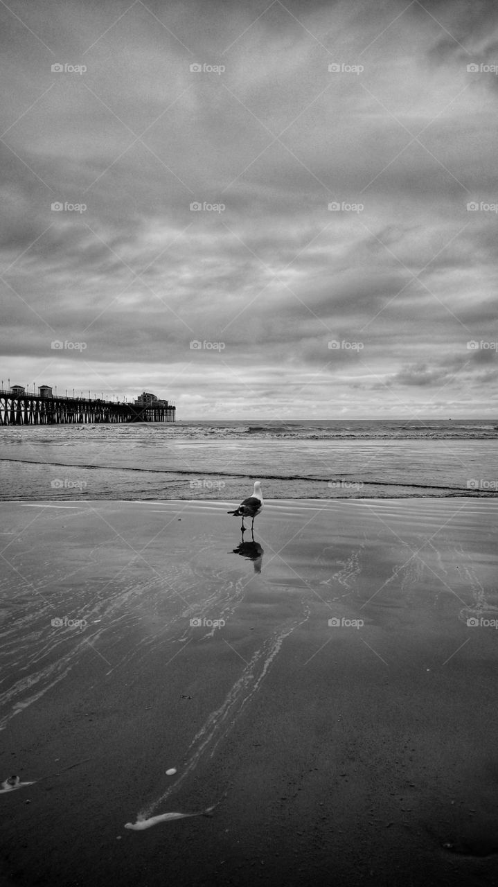 Out to Sea .... Oceanside Ca