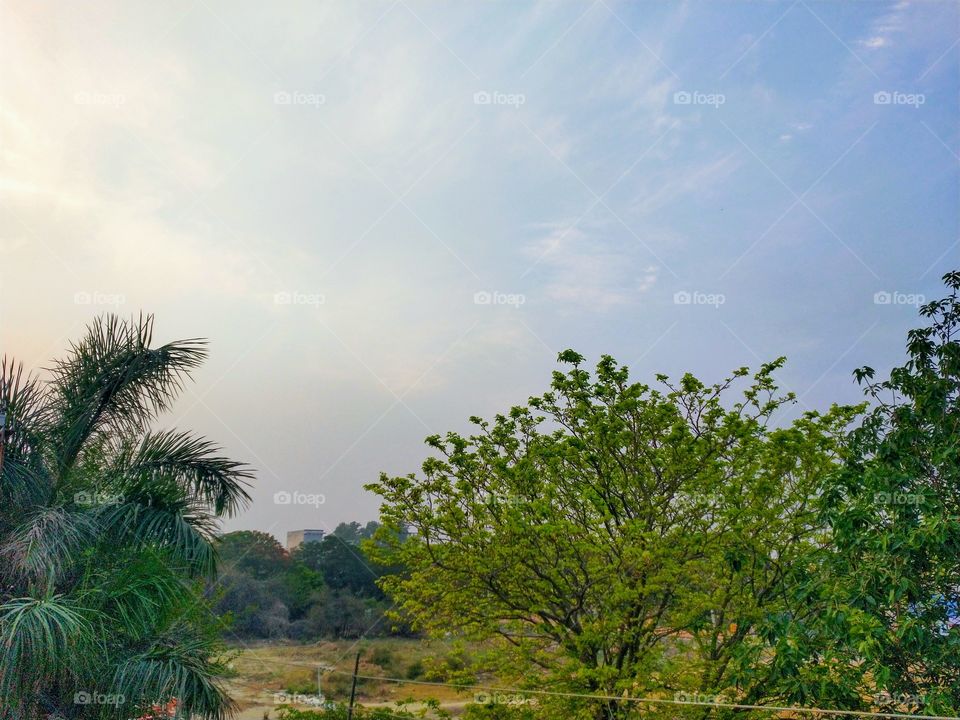 True Nature 😍 Trees and sky combination at its best.📸