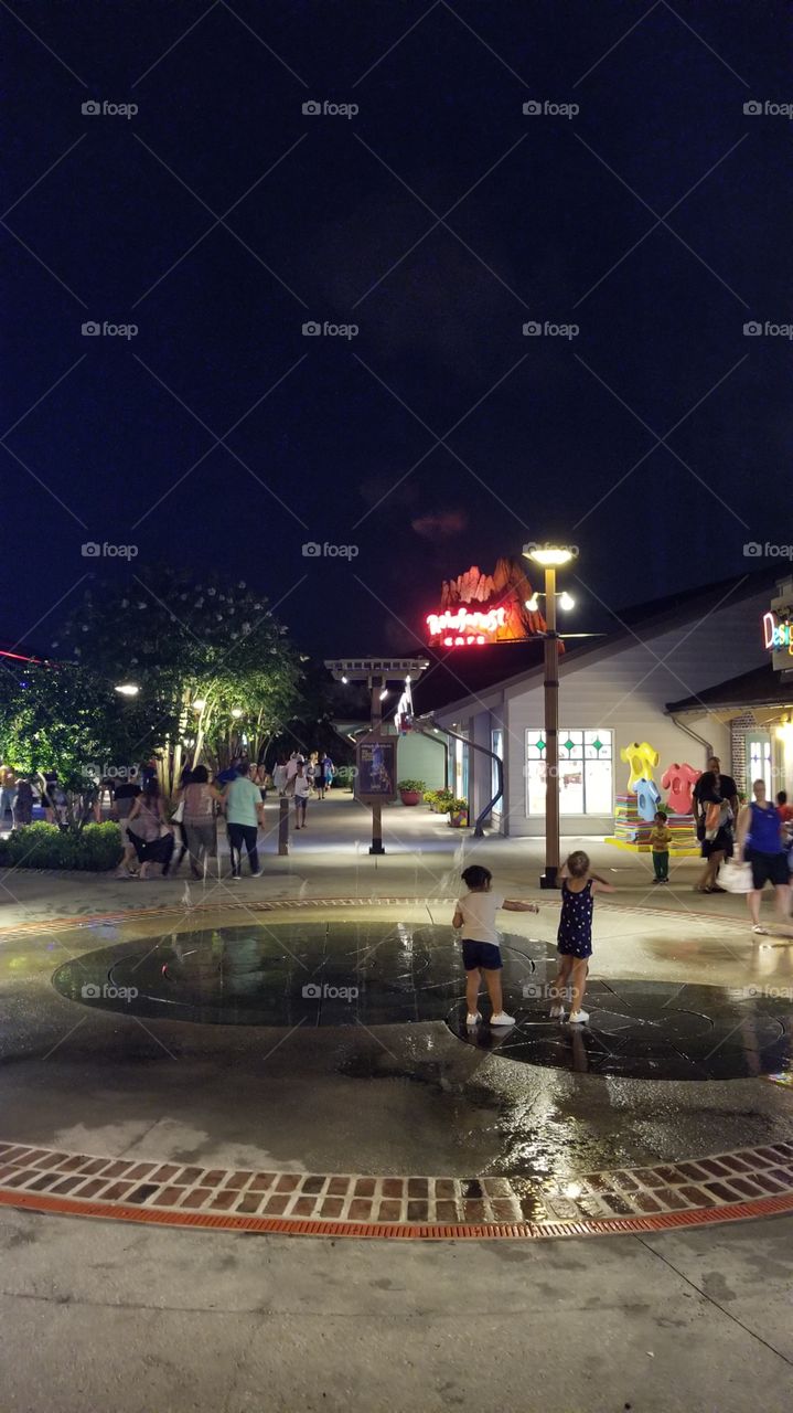 Beauty In The Shadows