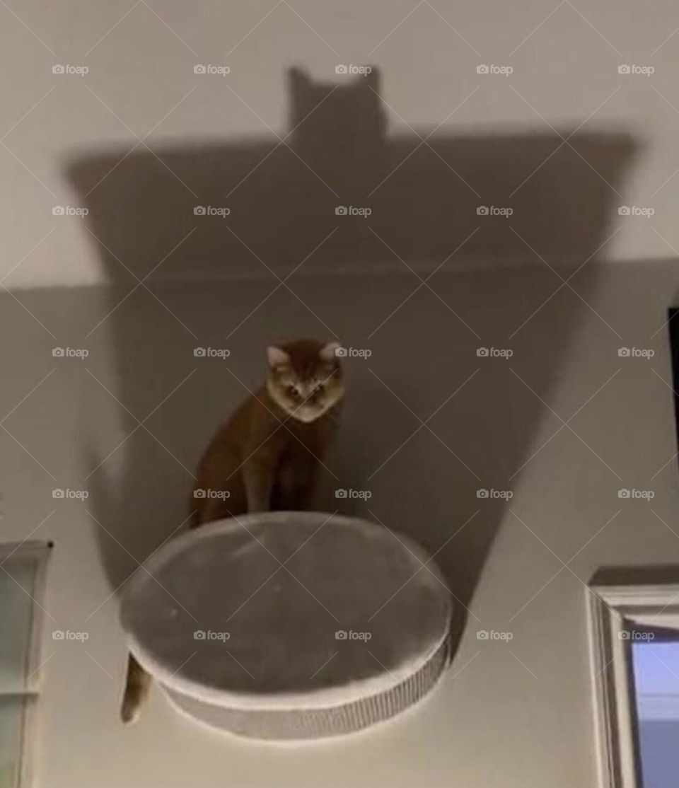 The outside does not always express the inside