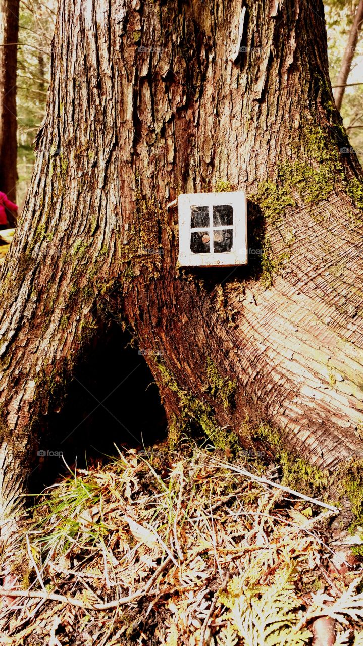 Hiking again... found this little fairy house 💙