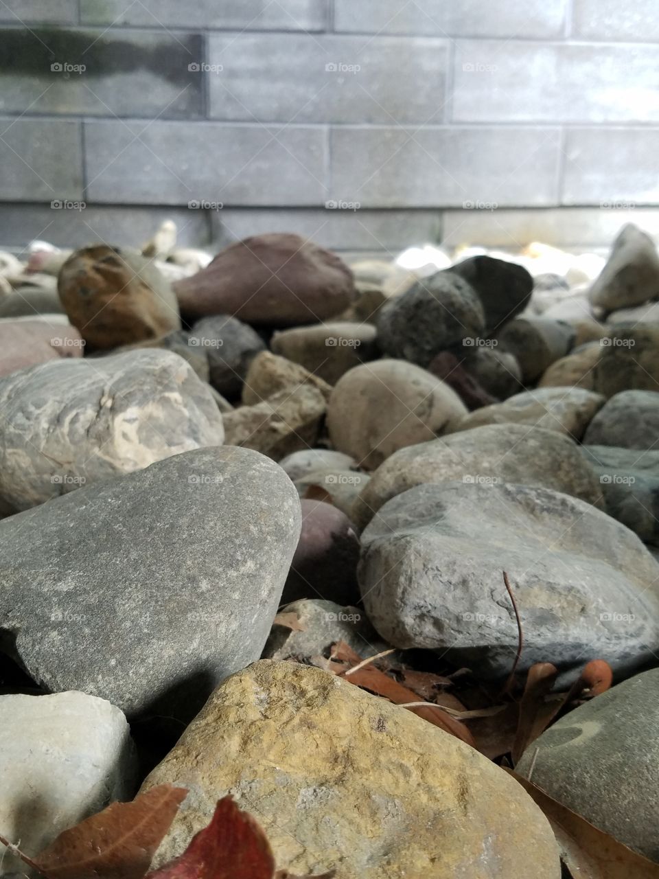 Rocks