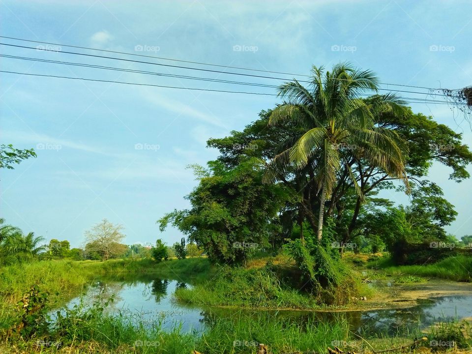 water,river,canal,tree,sky,landscape