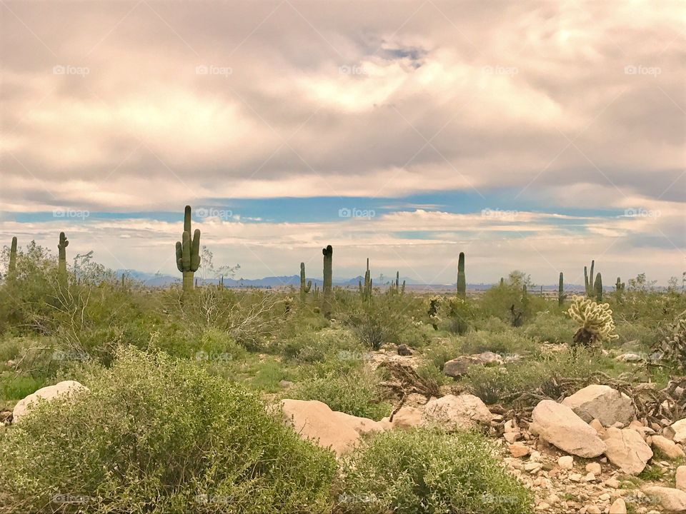 Rocks, Cacti and Clouds