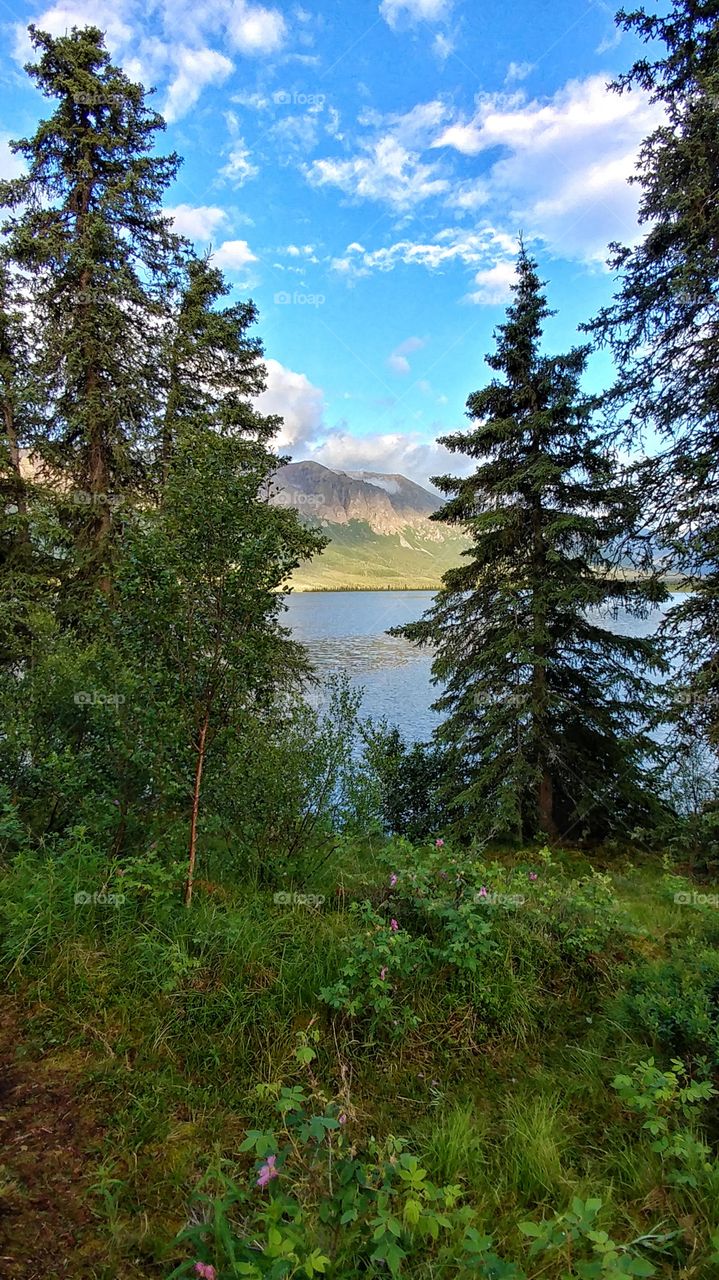 Alaskan summer sunset reflects off a wilderness lake in this pristine and peaceful part of the world.