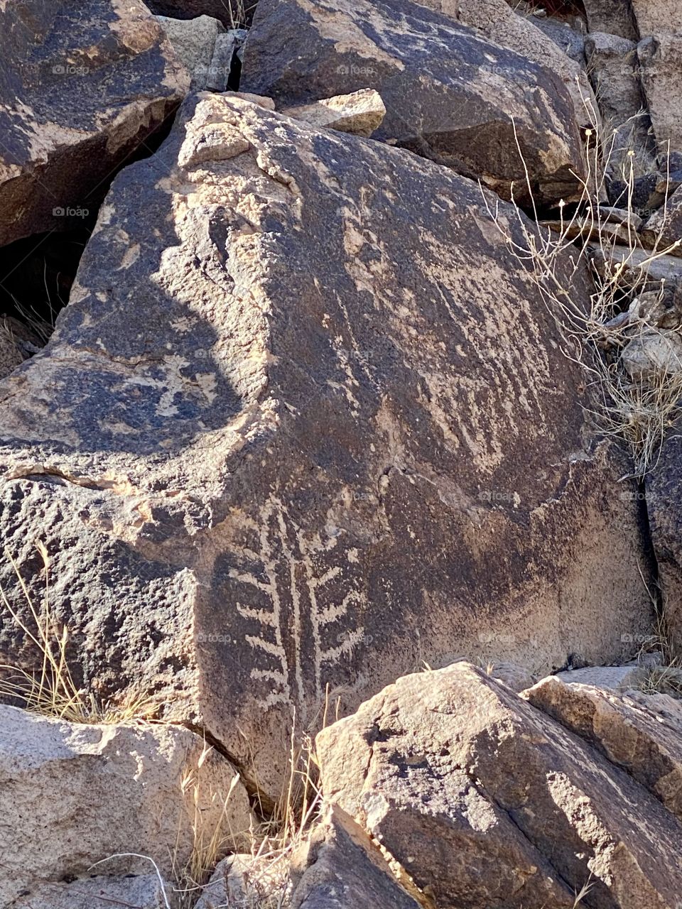 Petroglyphs 