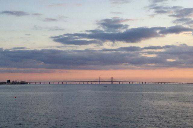 Bridge at horizon 