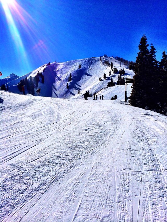 The White Playground
