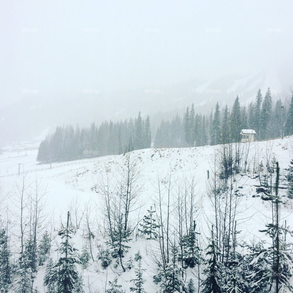 Snowing in sunpeaks! 