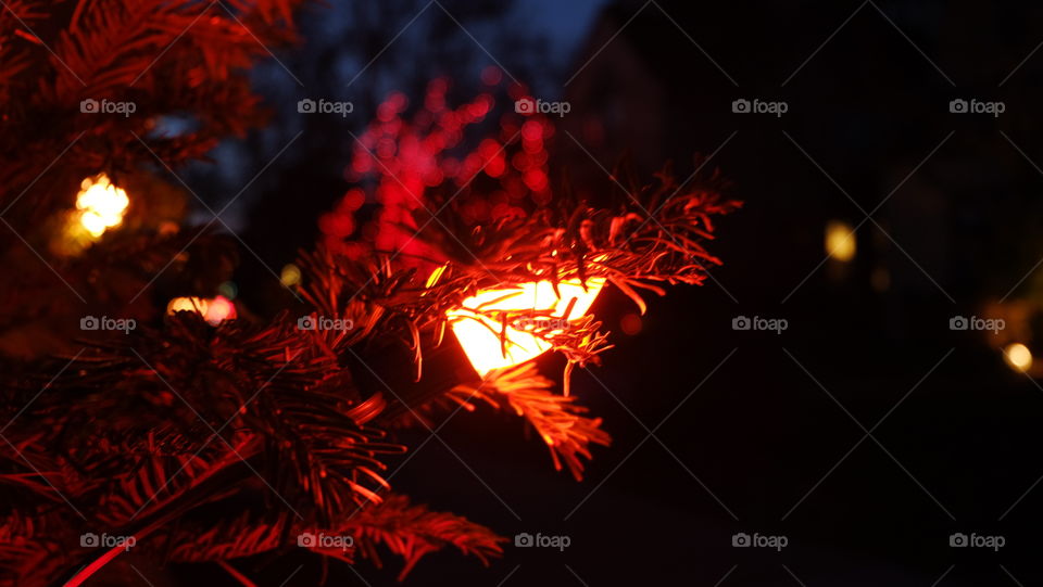 Christmas Lights on tree