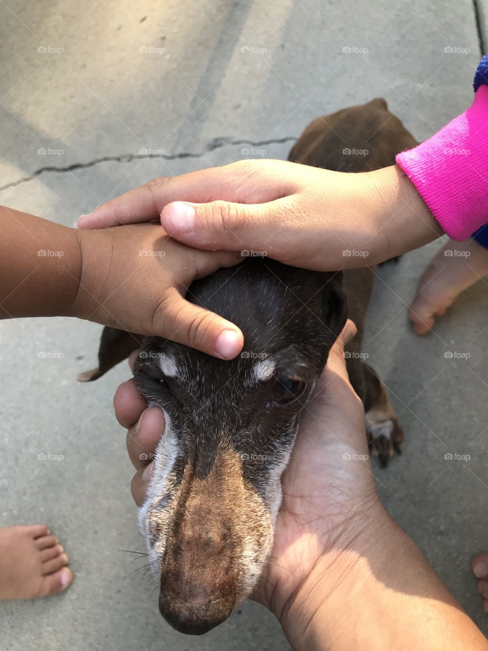 What we gonna do with Daisy? 