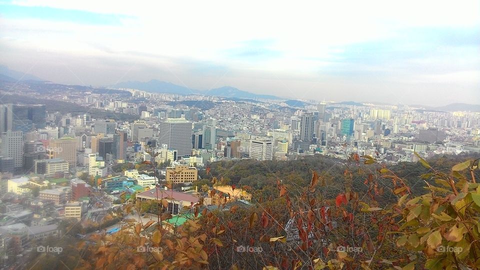 view of the city with buildings and trees