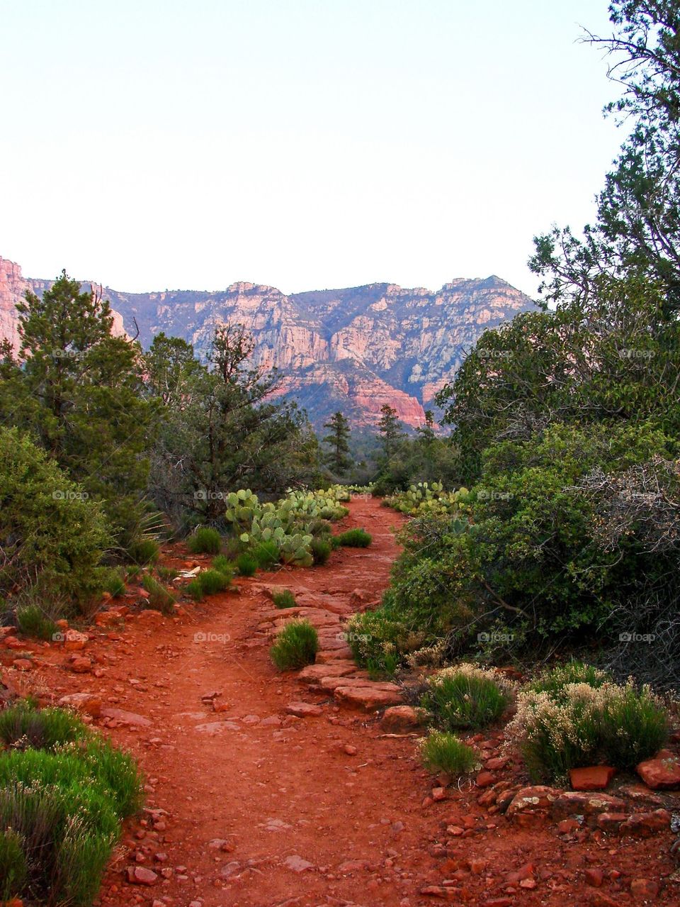 Sedona path