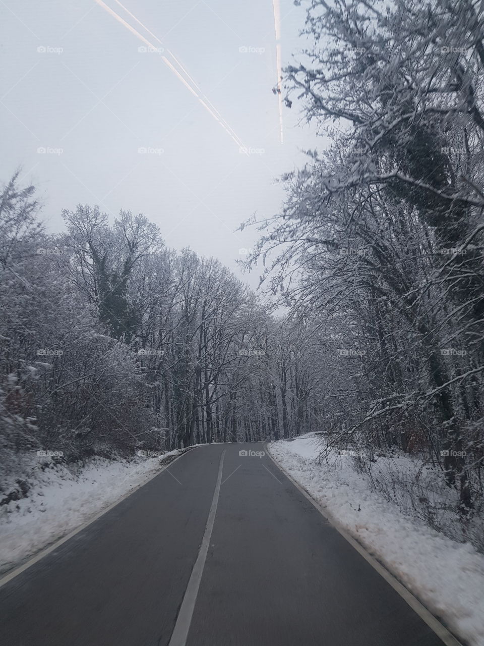 road in snowy forrest
