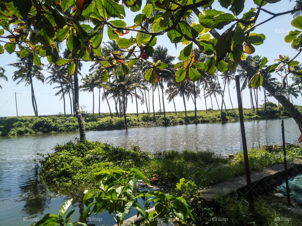 Beautiful nature scenery