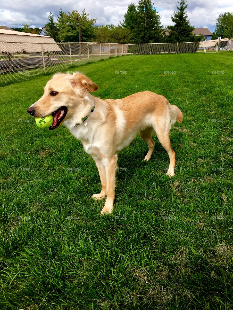 Cooper playing catch