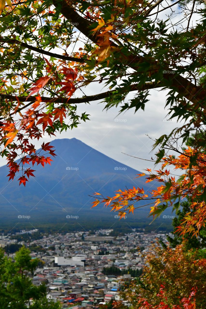 Mount Fuji autumn colors