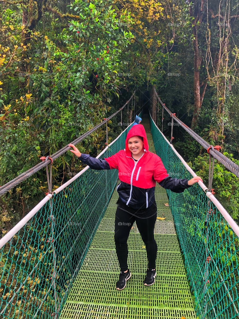 Hanging bridges 