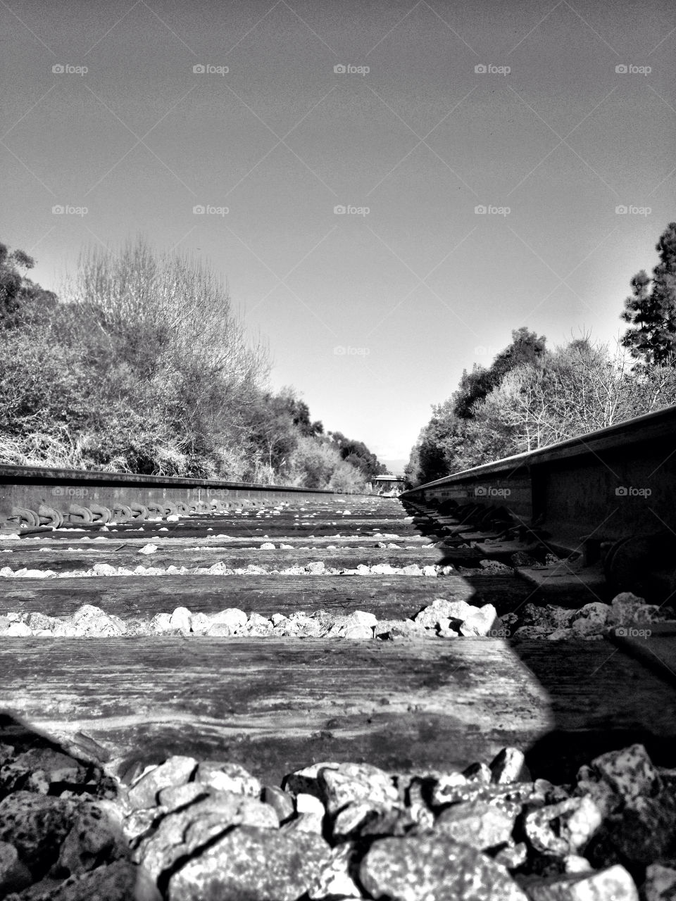 white black california tracks by asbreynolds