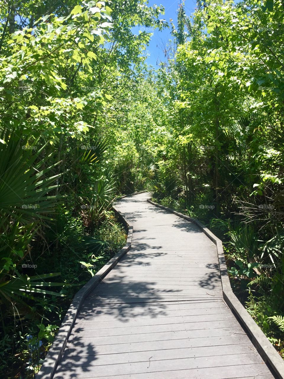 Bayou hike 