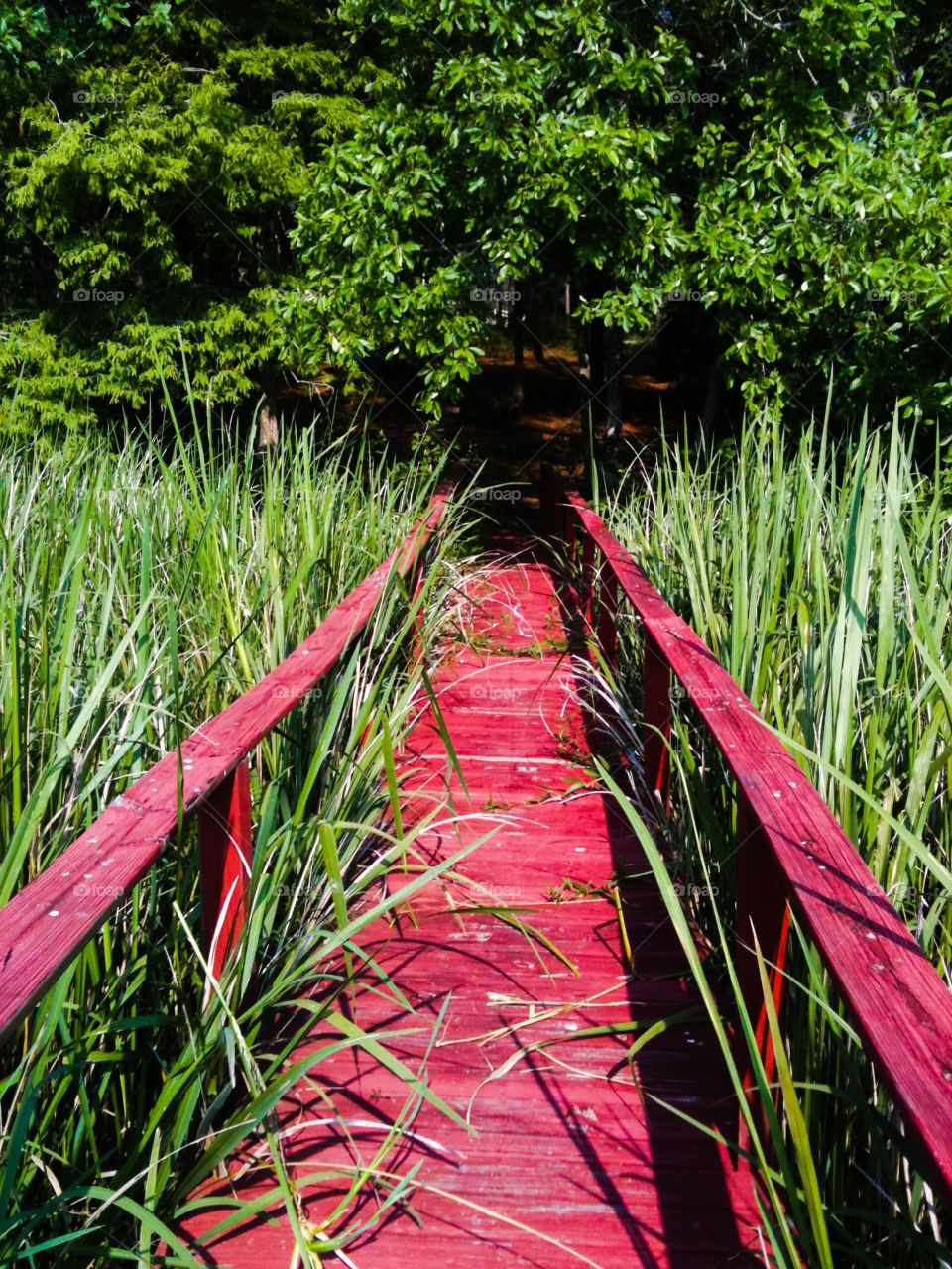 Red Wooden bridge leading to a lake boat dock; overgrown brush and grass growing over it 