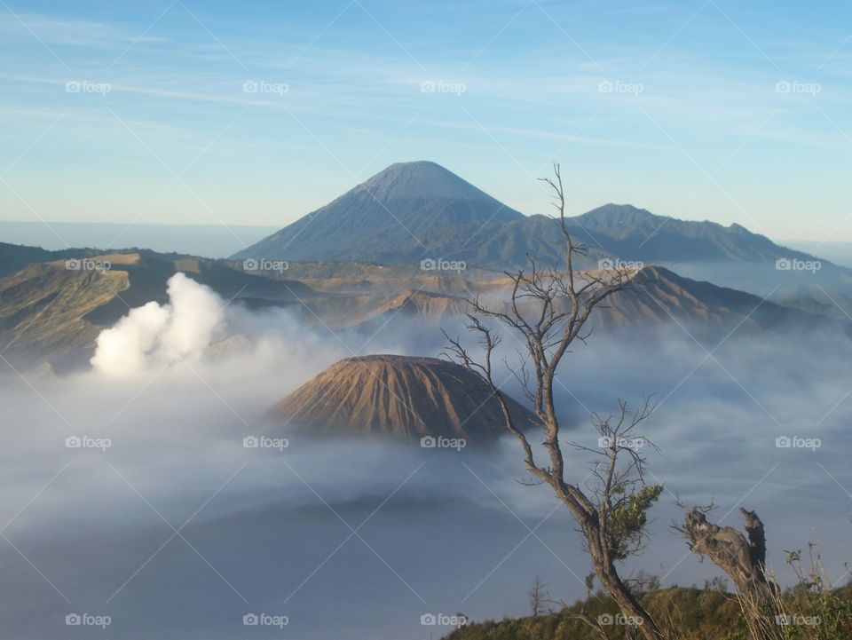 bromo