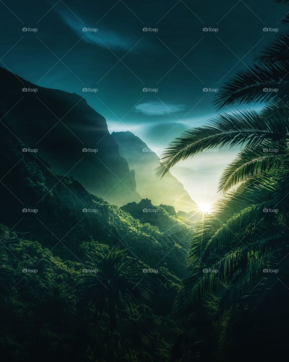 Vacay? Ready, Steady, go!