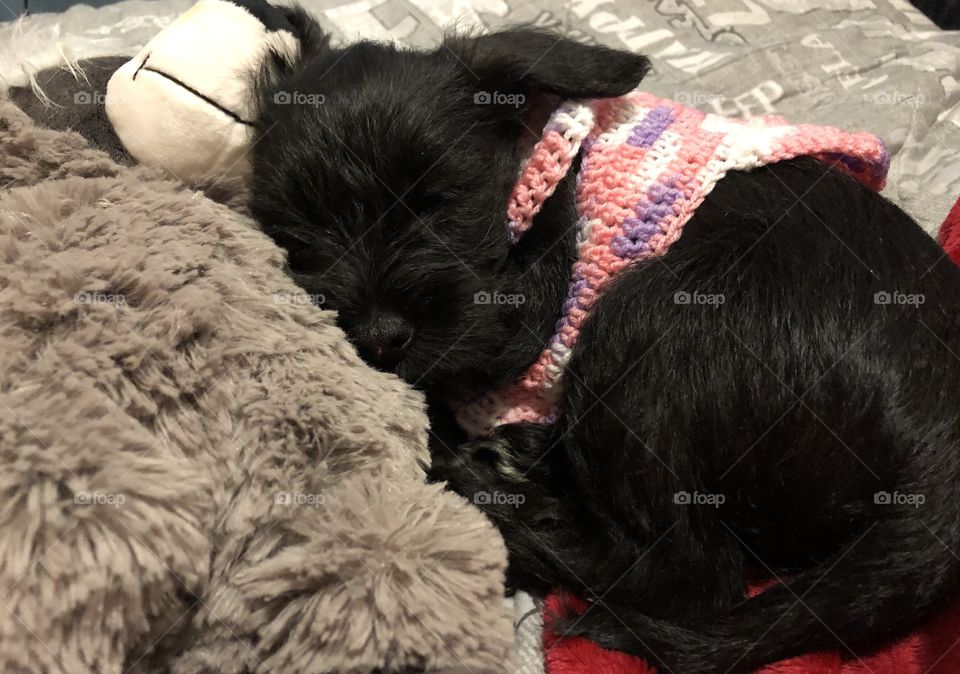 What is more relaxing than crocheting something for a face that cute? 