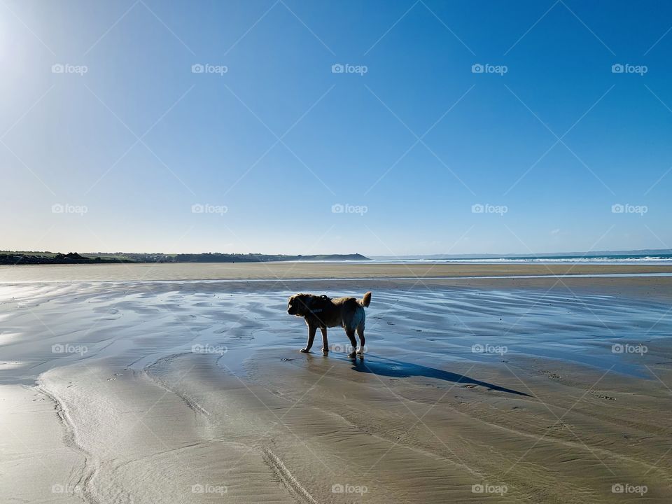 Editor’s Choice : Photo of the Week 