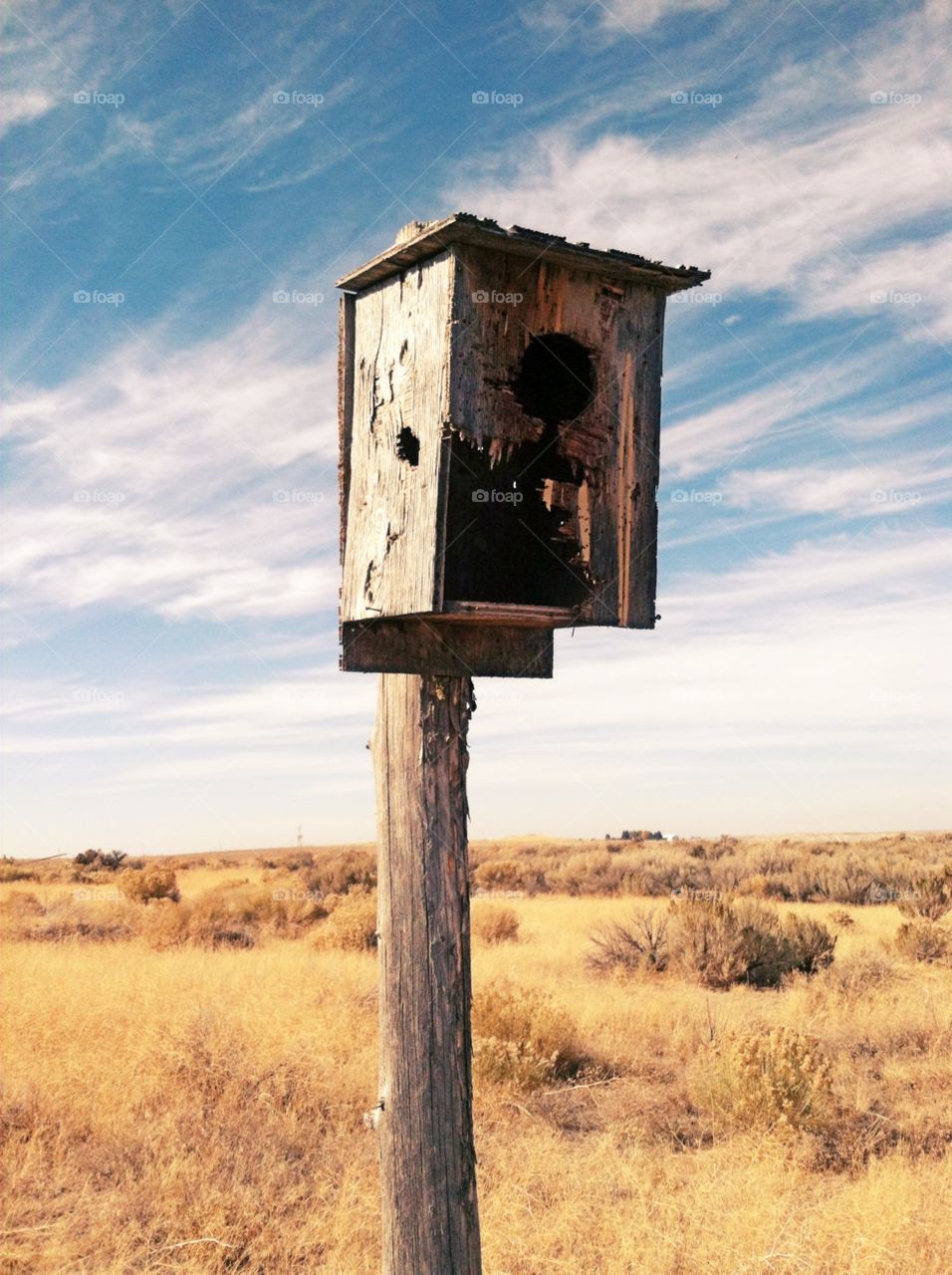 Old bird house