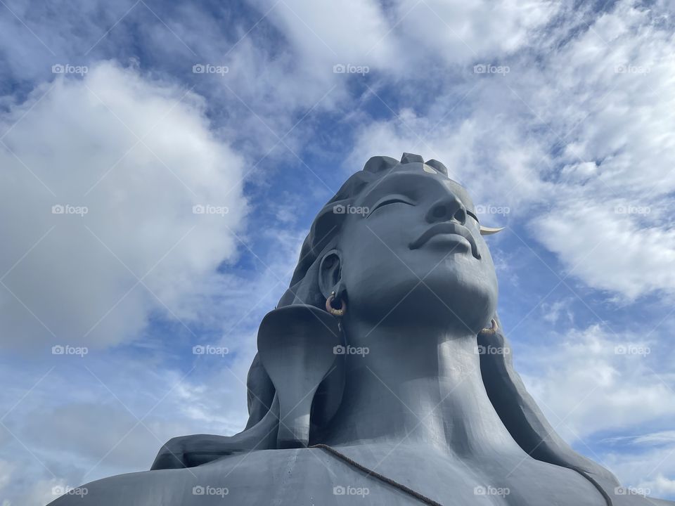 The ultimate version of life