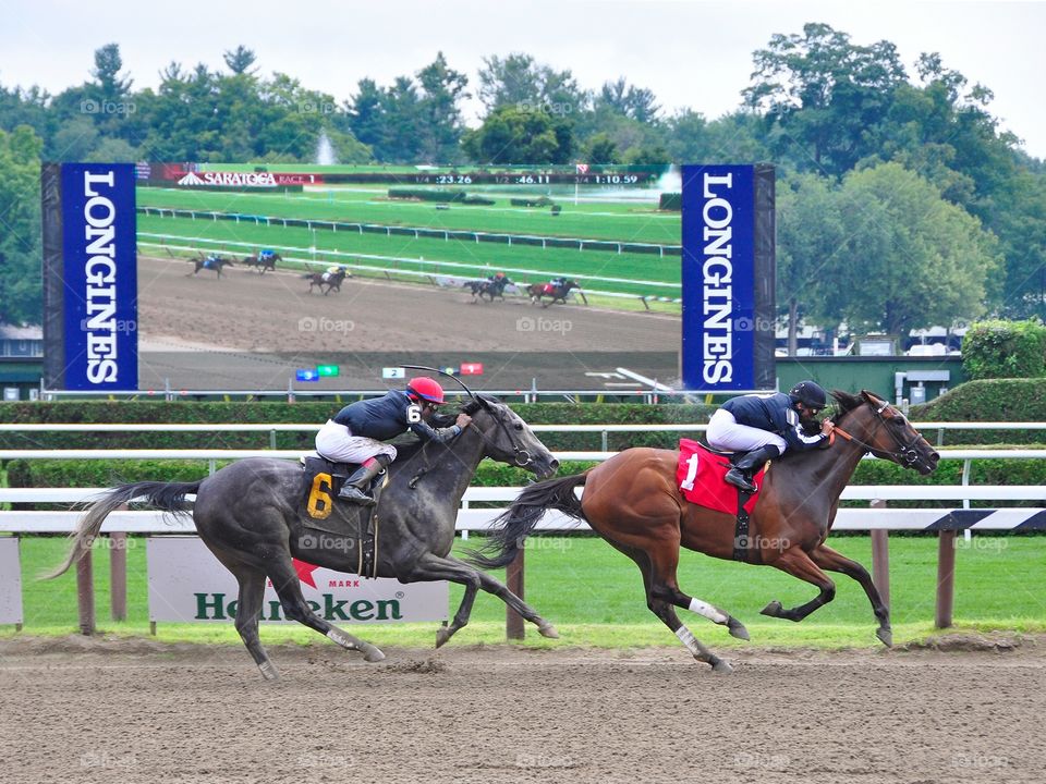 Theophilia & Carrumba. Theophilia with jockey Jose Lezcano beating Carrumba at Saratoga. 
Zazzle.com/Fleetphoto 