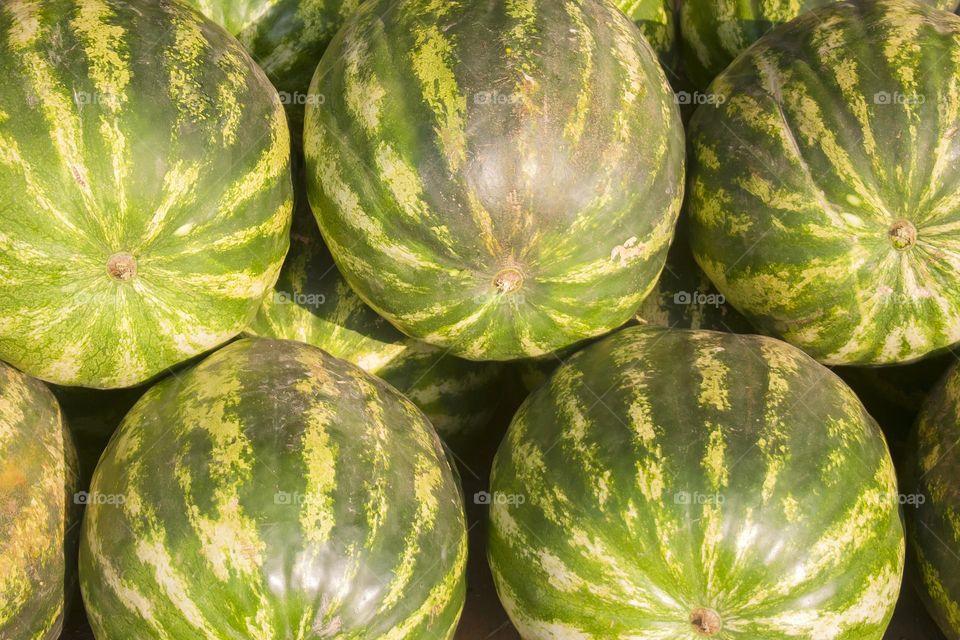 Watermelons in the market