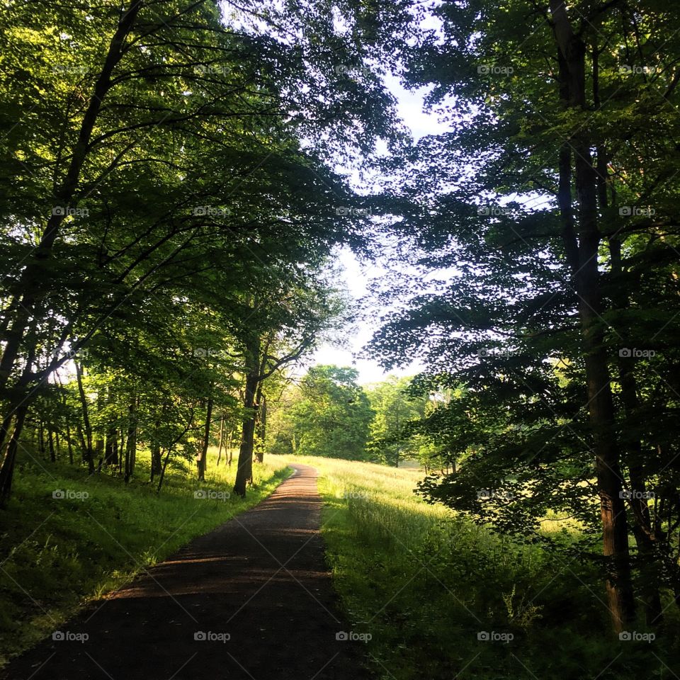 Motivation gets you started but habits keep you going 👍