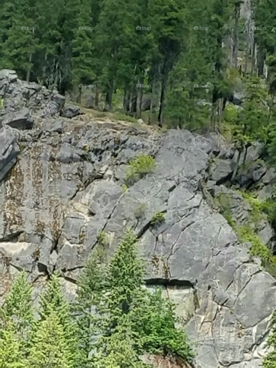 rock face