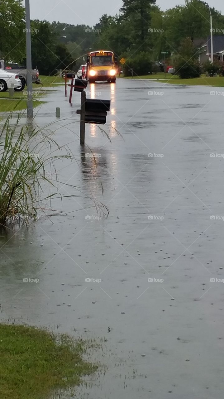 The water is a rising!