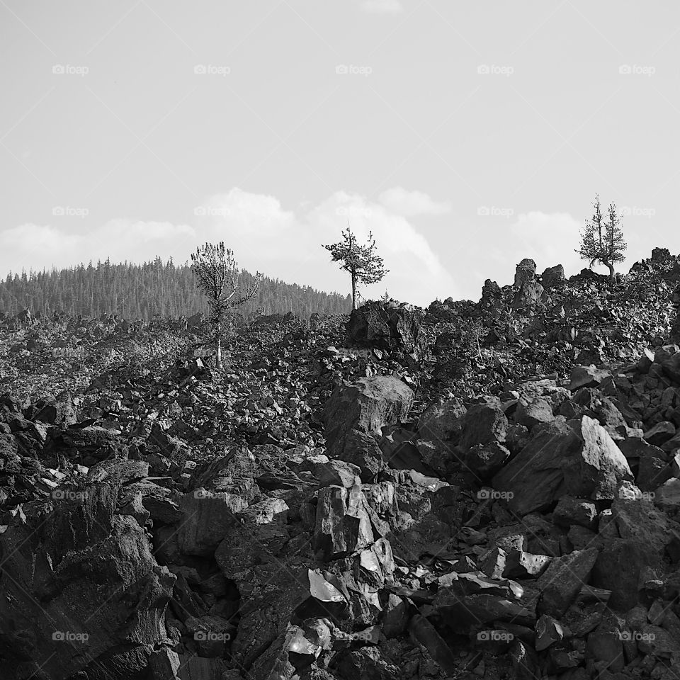 Rugged terrain of the Big Obsidian Flow 