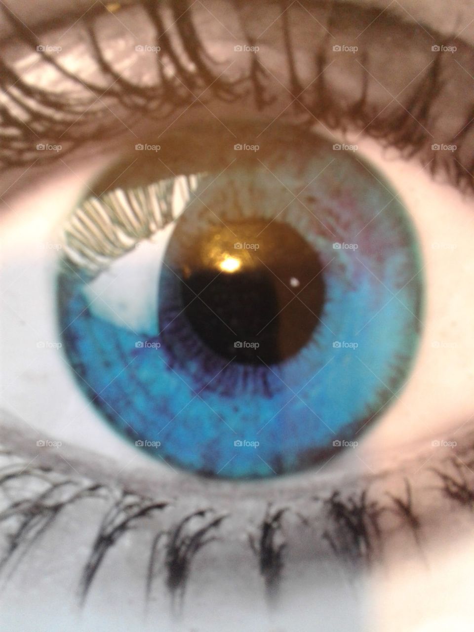 foto de ojo