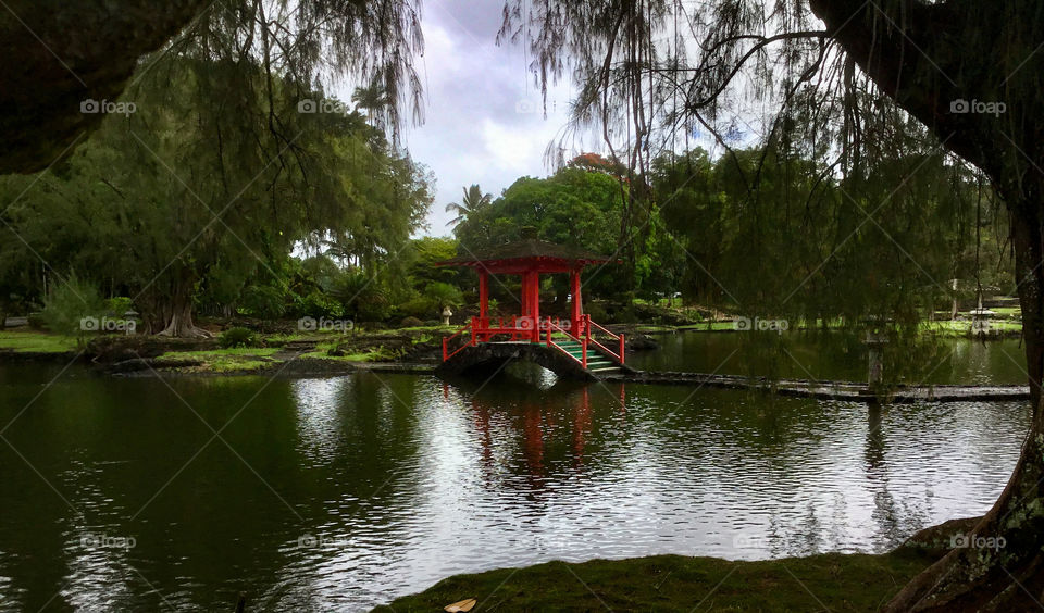 At Liliuokalani Park and Gardens