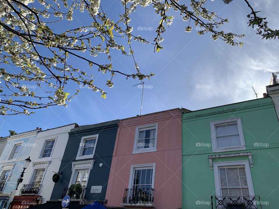 Contrast color house