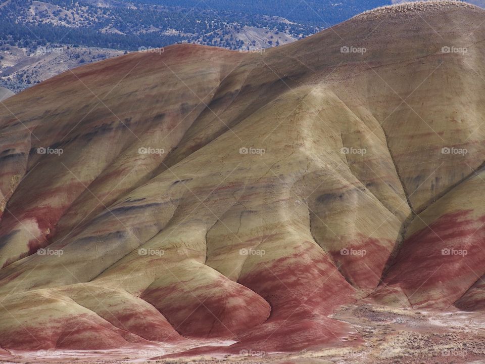 The incredible beauty of the red, gold, and browns of the textured Painted Hills in Eastern Oregon on a bright sunny day.