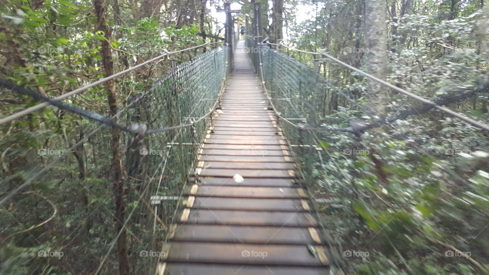 walking bridge