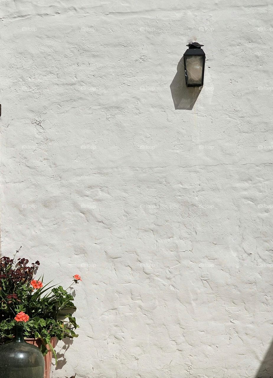 Flower pot against a wall with a lamp; a beautiful minimalist photo.