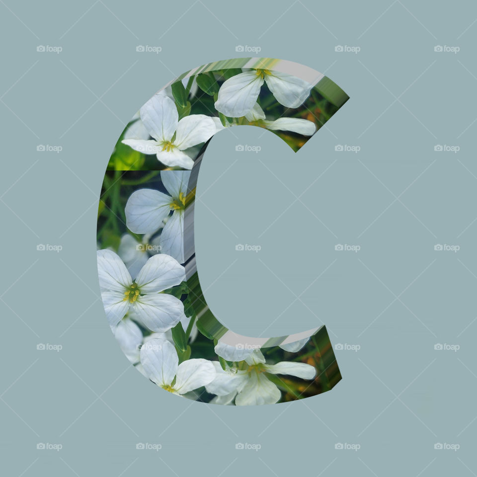 C alphabet 3d rendering of vertical white flowers alphabet