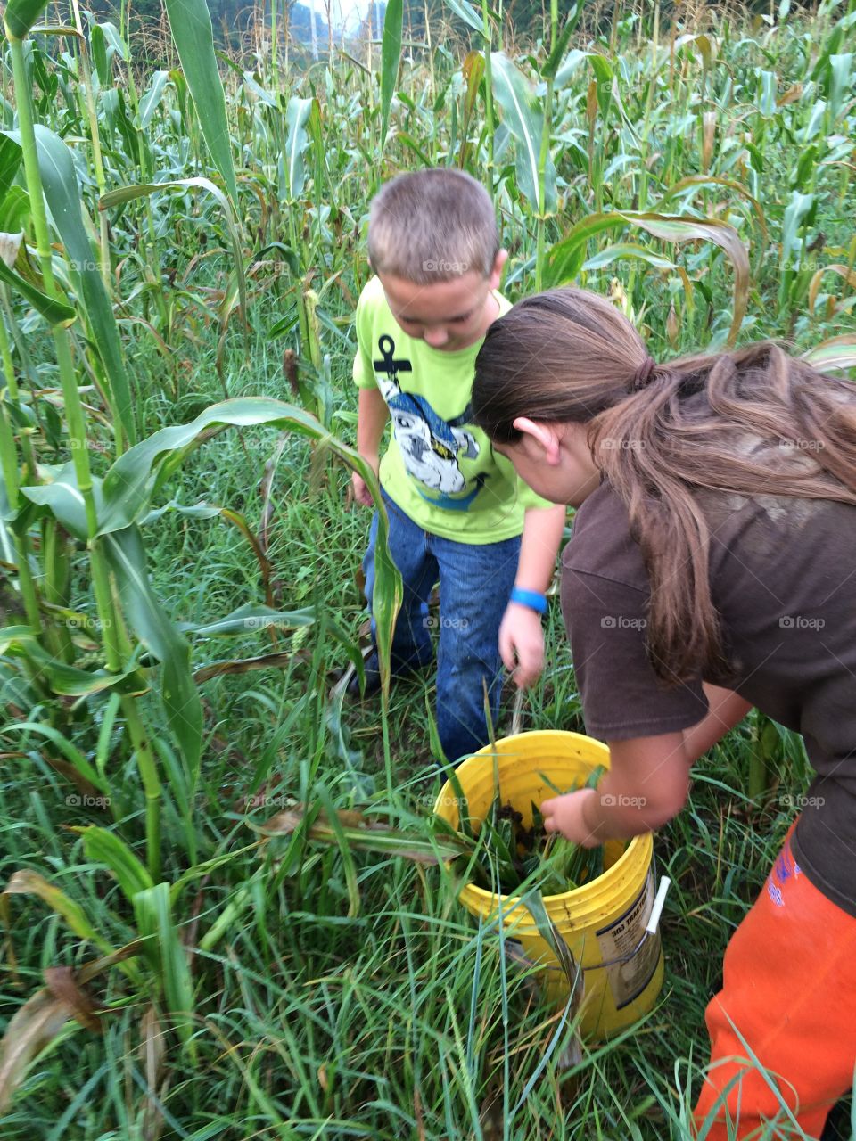 Brother and sister working in farm